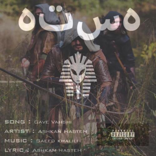 دانلود آهنگ گاو وحشی اشکان هسته